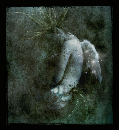 Silence of angels 28